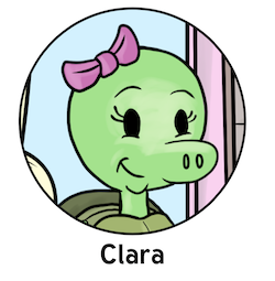 Clara the pig-nose turtle
