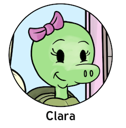 Clara the Pig-nose turtle